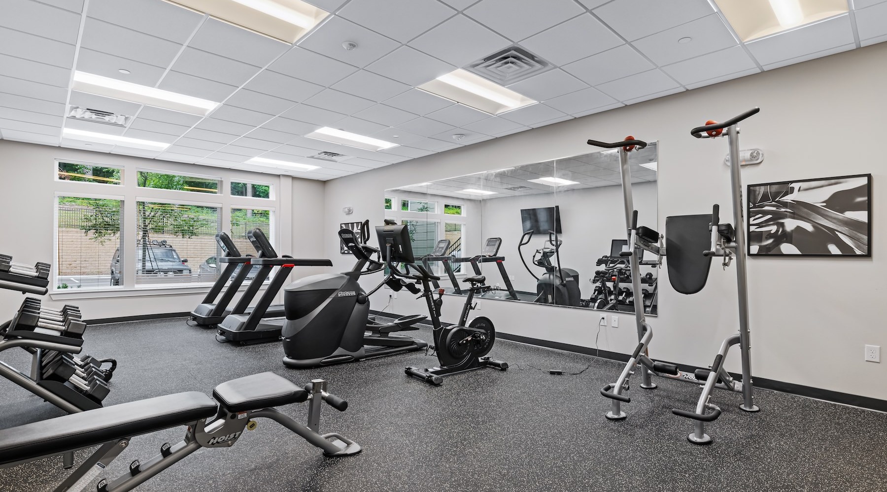 Get your workout on a gym with exercise equipment